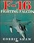 F-16 Fighting Falcon
