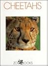 Cheetahs by Linda C. Wood