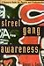 Street Gang Awareness: A Resource Guide for Parents and Professionals
