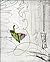 Scrawl - Dirty Graphics & S...