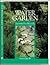 Water Garden Month-By-Month