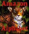 Amazon Alphabet