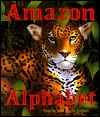 Amazon Alphabet (Hardcover)