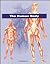 The Human Body
