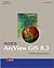 Inside ArcView GIS 8.3