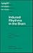 Induced Rhythms in the Brain by Erol Başar