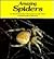 Amazing Spiders (A Carolrhoda Nature Watch Book)
