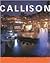 Callison: Creating Smarter ...