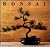 Bonsai by Ken Norman