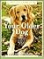 Your Older Dog: A Complete Guide to Helping Your Dog Live a Longer and Healthier Life