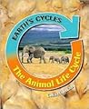 The Animal Life Cycle (Earth's Cycles) The Animal Life Cycle (Earth's Cycles)