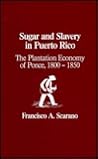 Sugar and Slavery in Puerto Rico: The Plantation Economy of Ponce, 1800-1850