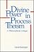 Divine Power in Process The...