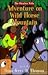 Adventure on Wild Horse Mountain (The Shoebox Kids)
