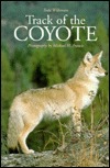 Track of the Coyote (Paperback)