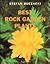 Best Rock Garden Plants