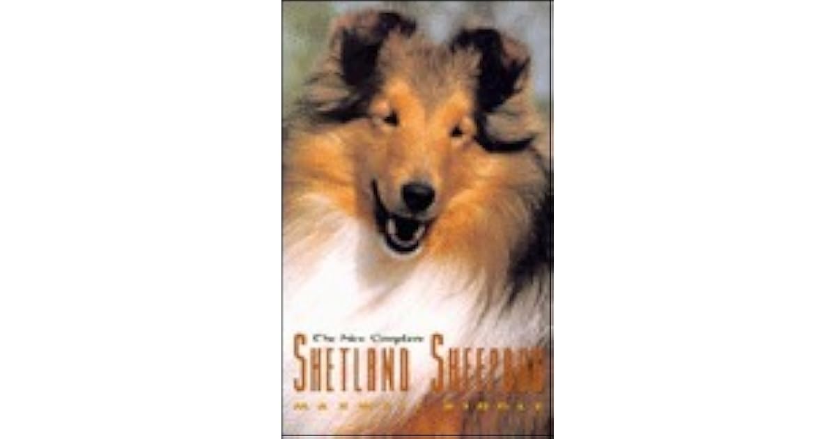 The New Complete Shetland Sheepdog by Maxwell Riddle