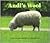 Andi's Wool (Books for Young Learners)