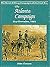 Atlanta Campaign (Great Military Campaigns of the Civil War)