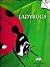 Ladybugs