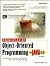 Principles of Object-Oriented Programming in Java 1.1: The Practical Guide to Effective, Efficient Program Design