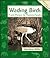 Wading Birds: From Herons to Hammerheads (Animals in Order)