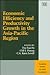 Economic Efficiency and Productivity Growth in the Asia-pacific Region (Academia Studies in Asian Economies series)