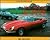 Jaguar E-Type: A Collector's Guide