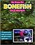Fly Fishing for Bonefish by Dick Brown