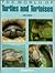 The World of Turtles and Tortoises