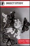 Insect Study