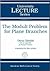 The Moduli Problem for Plane Branches (University Lecture Series, 39)