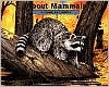 About Mammals: A Guide for Children (The About Series)
