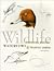 Wildlife Painting Basics Wa...