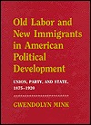 Old Labor and New Immigrants in American Political Development: Union, Party, and State, 1875-1920 (Hardcover)