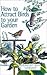 How to Attract Birds to Your Garden