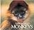 New World Monkeys (Naturebooks Mammals)