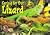 Caring for Our Lizard Learn to Read, Science