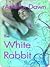 The White Rabbit