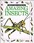 Amazing Insects (Eyewitness...