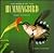 World of the Hummingbird