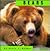 Bears (Animals)