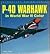 P-40 Warhawk in World War I...