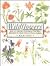 Wildflowers: How to Identify Flowers in the Wild and How to Grow Them in Your Garden