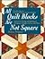 All Quilt Blocks Are Not Sq...