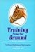 Training from the Ground