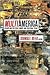 Multi-America: Essays on Cultural Wars and Cultural Peace