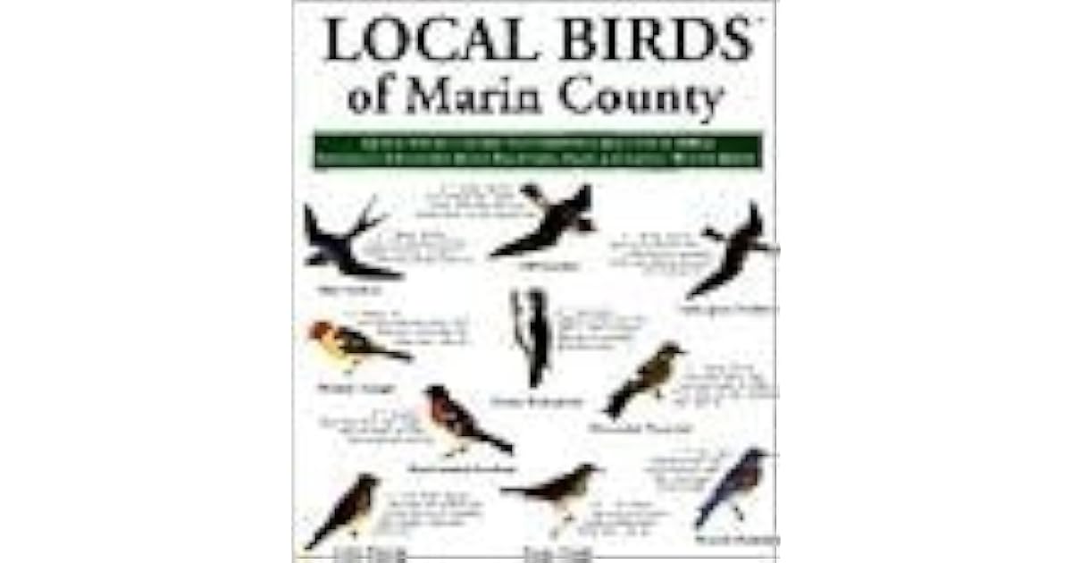 Local Birds of Marin County by Local Birds Inc.