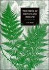 The Ferns of Britain and Ireland