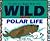 Crafts for Kids Who Are Wild about Polar Life